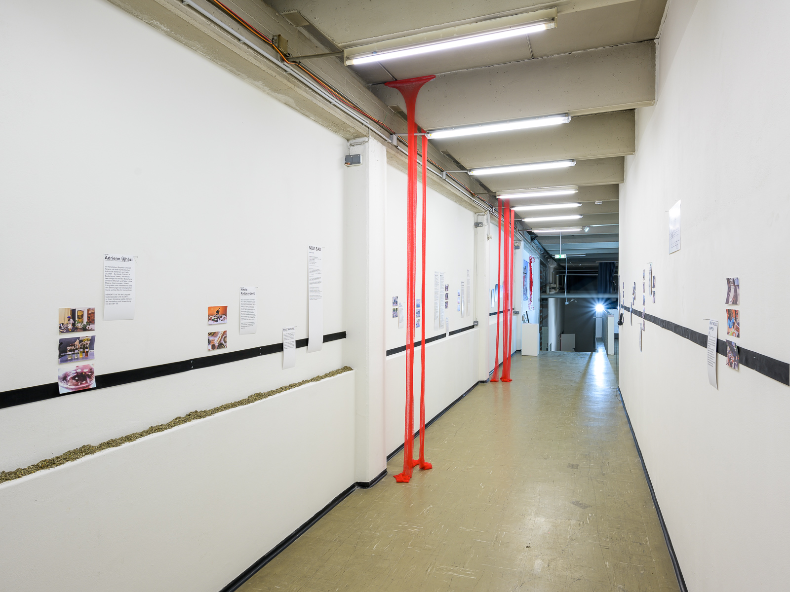 Ausstellungsansicht