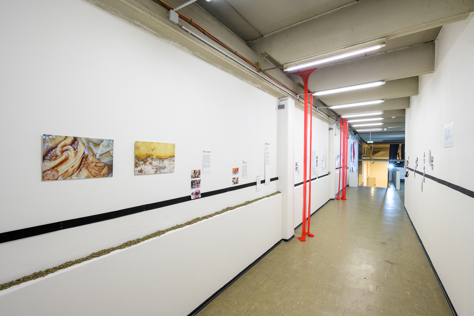 Ausstellungsansicht