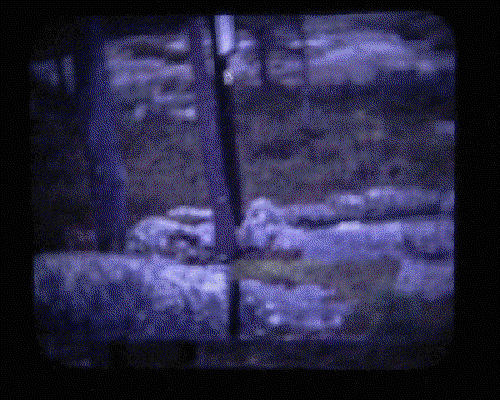 postikorttina.gif